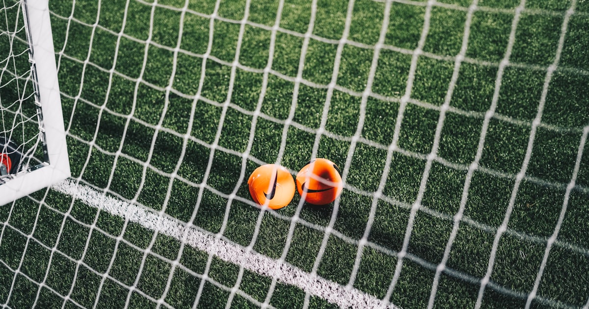 2 orange fruits on green field