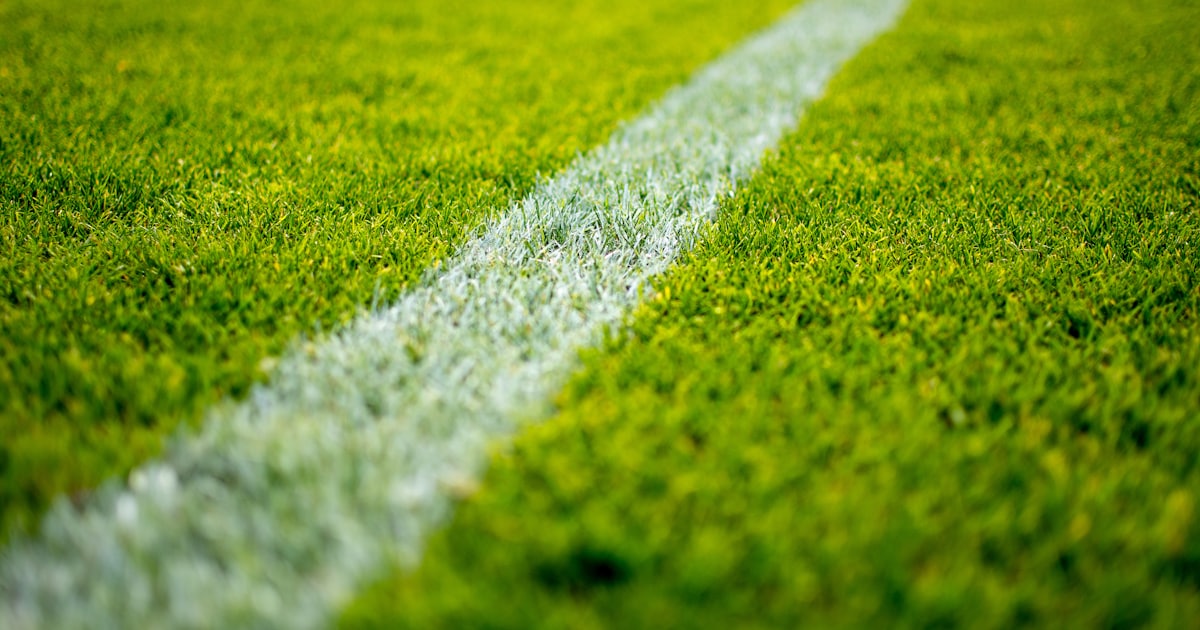 green grass field during daytime