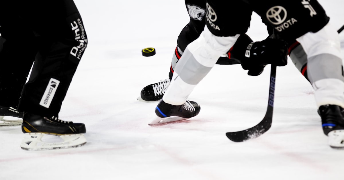 people playing ice hockey